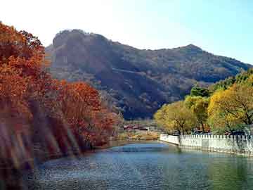 澳門管家婆一肖一碼精準(zhǔn)預(yù)測——揭秘精準(zhǔn)度背后的秘密，澳門管家婆一肖一碼精準(zhǔn)預(yù)測揭秘，預(yù)測背后的秘密與準(zhǔn)確度探討