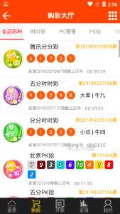 澳門王中王六肖一碼七天，揭秘彩票背后的秘密，揭秘澳門王中王六肖一碼七天彩票背后的秘密