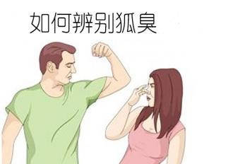 狐臭與腋臭的區(qū)別解析，狐臭與腋臭的區(qū)別深度解析