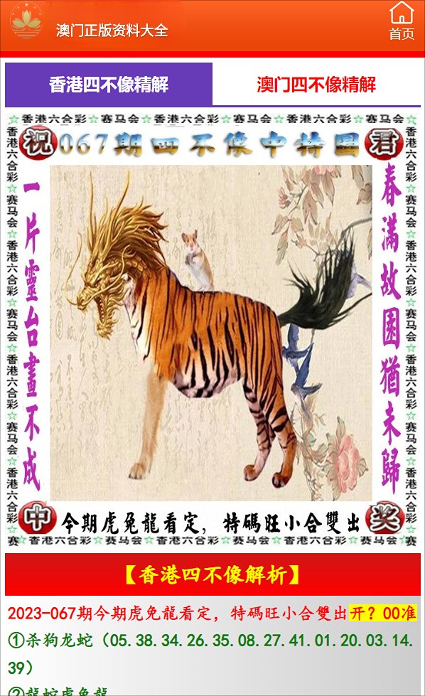 澳門(mén)一肖一碼一待一中四不像——揭秘背后的秘密，澳門(mén)一肖一碼背后的秘密揭秘
