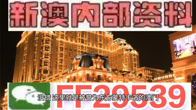 2025澳門今晚必開一肖