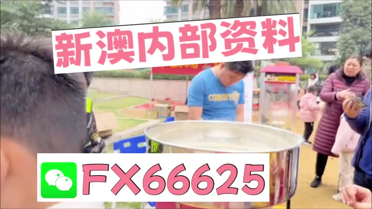 新澳2025最新資料大全，紅雙喜新澳2025天——探索與前瞻，新澳2025探索與前瞻，紅雙喜最新資料大全及未來展望