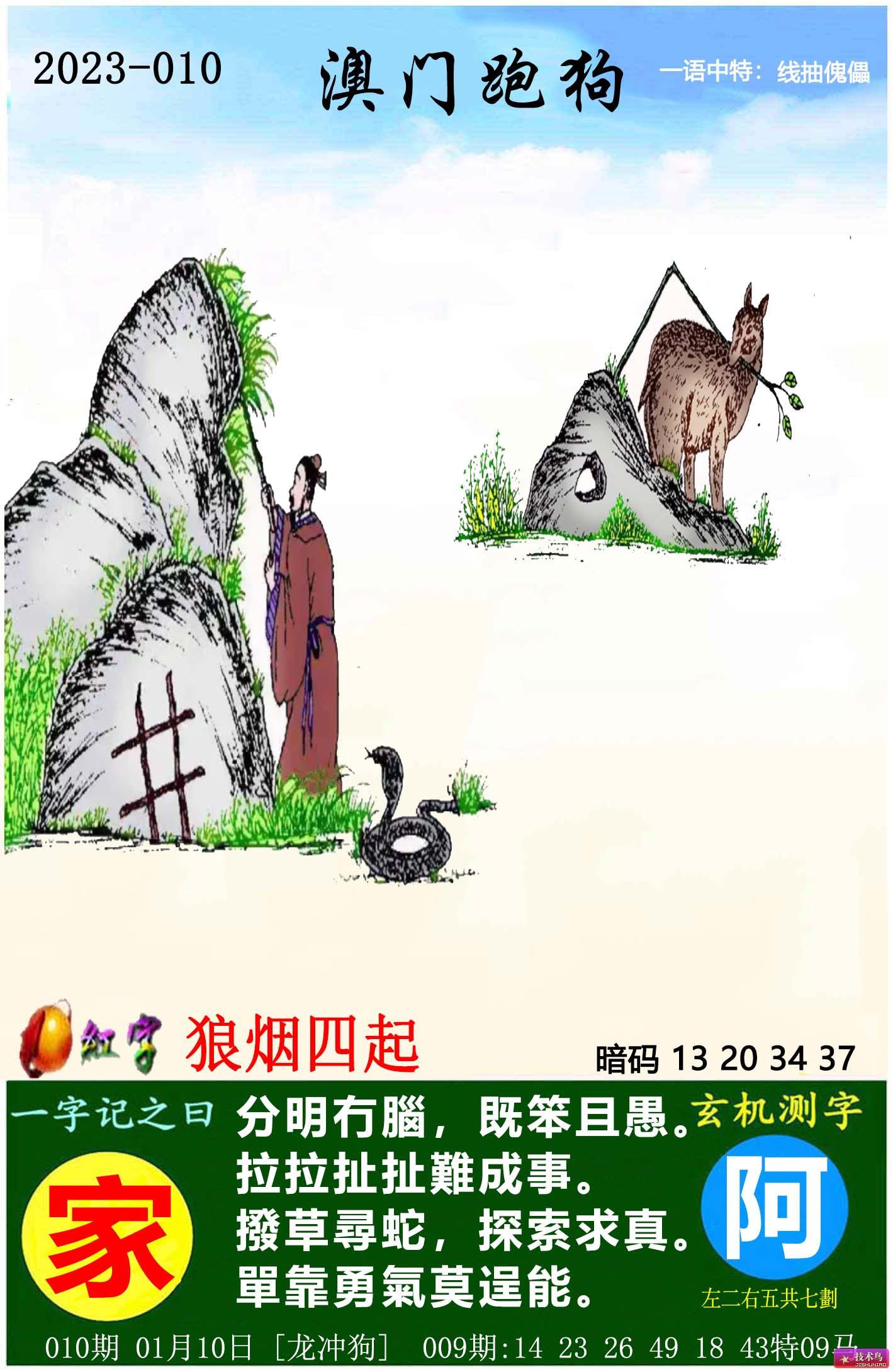 全新版跑狗圖解析，77777與88888的神秘組合，全新版跑狗圖解析，揭秘77777與88888的神秘組合