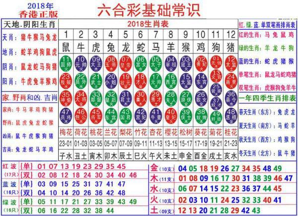 探索未來(lái)的奧秘，2025新澳門(mén)生肖卡，揭秘未來(lái)奧秘，2025新澳門(mén)生肖卡探秘