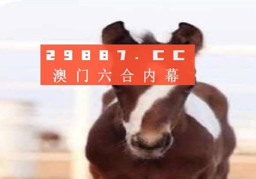 澳門一肖一碼狀元紅，揭秘彩票背后的秘密與策略探討，澳門彩票揭秘與策略探討，狀元紅背后的秘密與一肖一碼探討