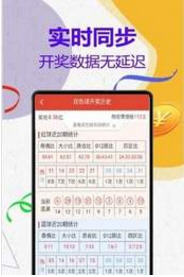 管家婆204年資料解析，一肖配成龍，管家婆204年資料解析揭秘，一肖配成龍獨(dú)家解析