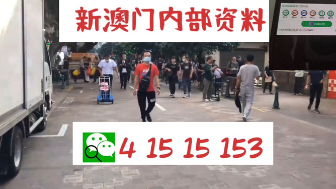澳門管家婆100中，探索其背后的秘密與魅力，澳門管家婆背后的秘密與魅力探索