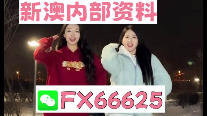 一碼一肖一特一，揭秘背后的秘密與奧秘，揭秘一碼一肖一特一背后的神秘面紗