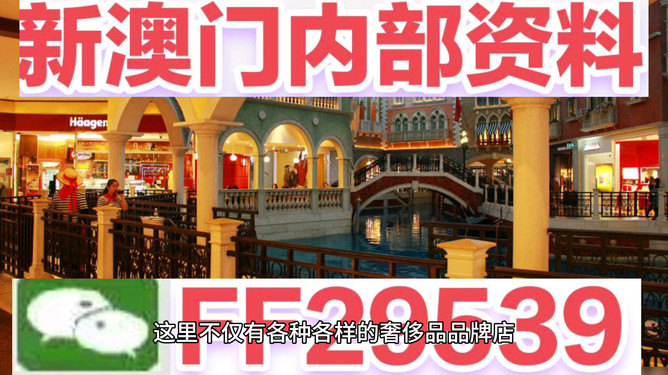 澳門未來展望，2025年的澳門展望，澳門未來展望，展望2025年澳門發(fā)展藍(lán)圖