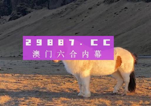 澳門彩之www.04812com探索與體驗，澳門彩之www.04812com，探索與沉浸式體驗