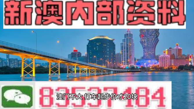 探索澳門未來，2025年新澳門攪珠歷史展望，澳門未來展望，探索新澳門攪珠歷史，2025年展望新篇章