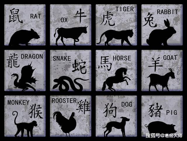 新澳特碼，羊?；⒏鲾?shù)10——揭秘背后的奧秘與策略，揭秘新澳特碼背后的奧秘與策略，羊?；⒏鲾?shù)之謎