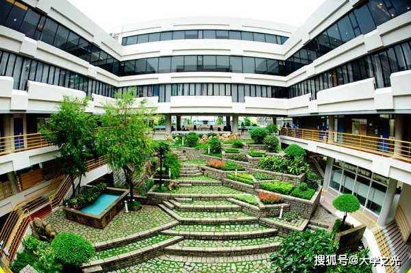 芳草地2025澳門資料詳解，澳門芳草地2025資料詳解
