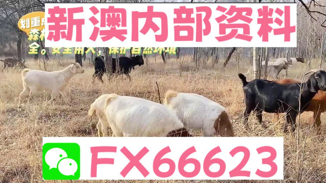 熱點(diǎn) 第50頁(yè)