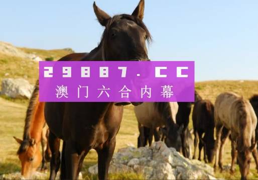 管家婆2025年澳門最精準(zhǔn)免費(fèi)大全，預(yù)測與策略分析，管家婆2025年澳門精準(zhǔn)預(yù)測與策略分析大全（免費(fèi)版）