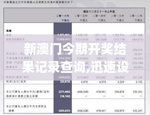 新澳門歷史記錄查詢大全，澳門歷史記錄查詢大全，探索過去，展望未來