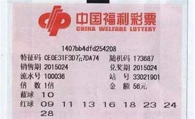 預(yù)測報(bào)告