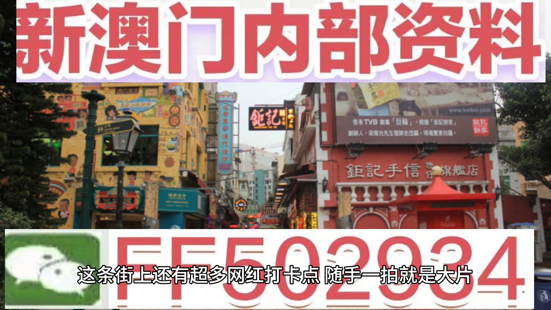 澳門特碼，探索其背后的秘密與魅力，澳門特碼背后的秘密與魅力探索