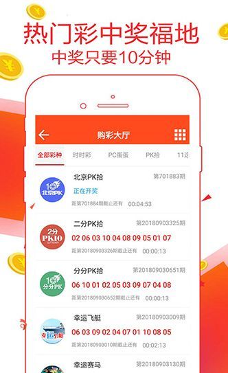 王中王一肖論，深度探索與SEO優(yōu)化策略，王中王一肖論，深度探索與SEO優(yōu)化策略詳解