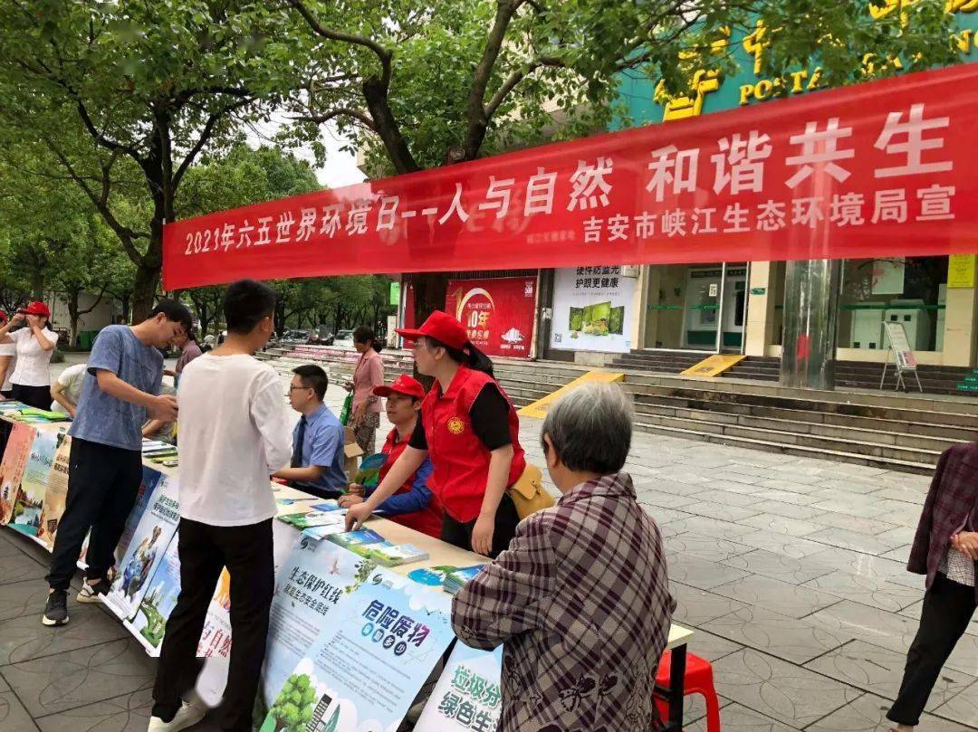 六月五號(hào)澳門開獎(jiǎng)結(jié)果全面解析，六月五號(hào)澳門開獎(jiǎng)結(jié)果深度解析