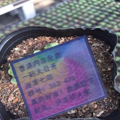 關(guān)于三肖賠多少錢的全面解析，三肖賠款金額全面解析