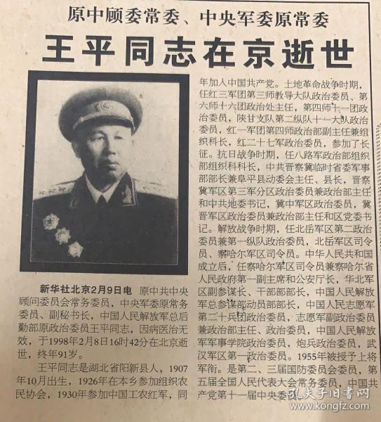 王王中王平特一肖，深度解析與SEO優(yōu)化策略，王王中王平特一肖深度解析與SEO優(yōu)化策略探討