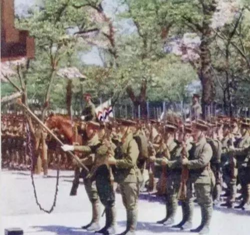 中國(guó)陸軍軍旗，歷史、意義與優(yōu)化SEO策略，中國(guó)陸軍軍旗，歷史意義與SEO策略?xún)?yōu)化探討