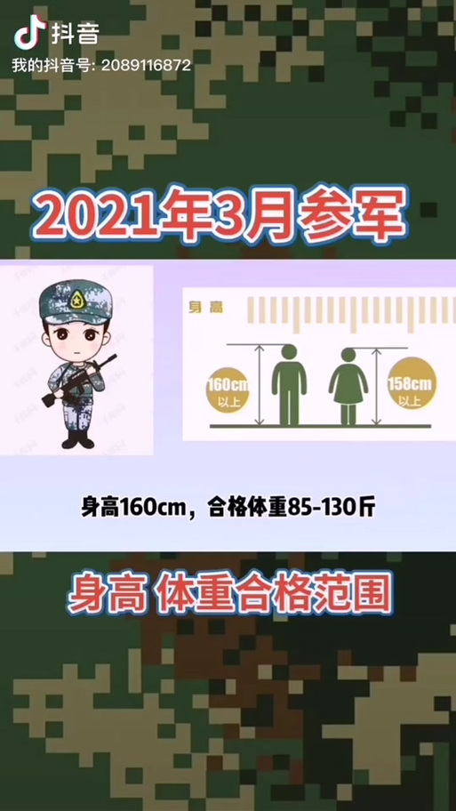 儀仗兵身高體重標(biāo)準(zhǔn)，探究與解析，儀仗兵身高體重標(biāo)準(zhǔn)，深度探究與解析