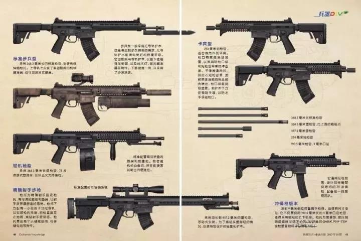 中國警用HK416，尖端科技的力量與警務(wù)現(xiàn)代化之路，中國警用HK416，尖端科技力量推動(dòng)警務(wù)現(xiàn)代化進(jìn)程
