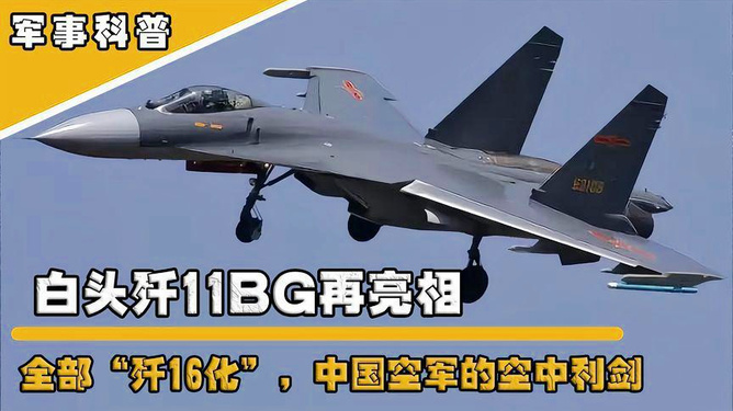 殲-11BG戰(zhàn)斗機，揭秘其所屬檔次與卓越性能，揭秘殲-11BG戰(zhàn)斗機所屬檔次與卓越性能特點