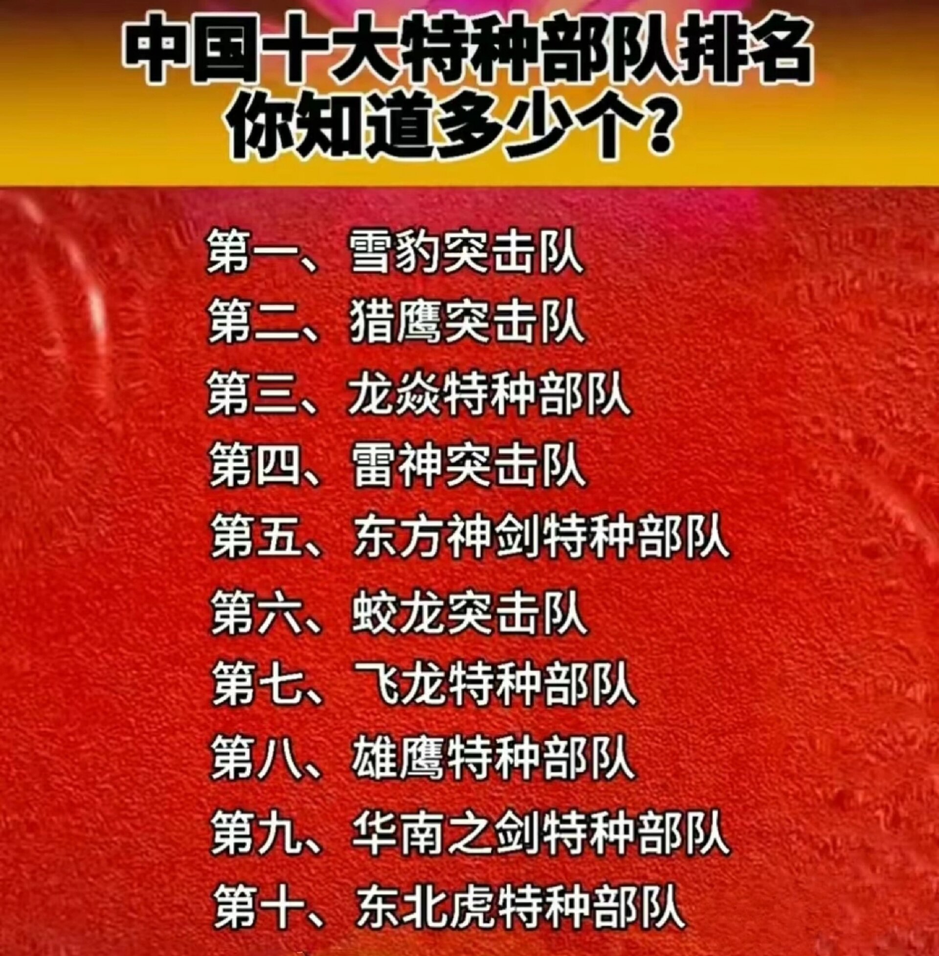 解放軍十大特種部隊(duì)，揭秘神秘面紗下的英勇力量，解放軍十大特種部隊(duì)，神秘面紗下的英勇力量揭秘