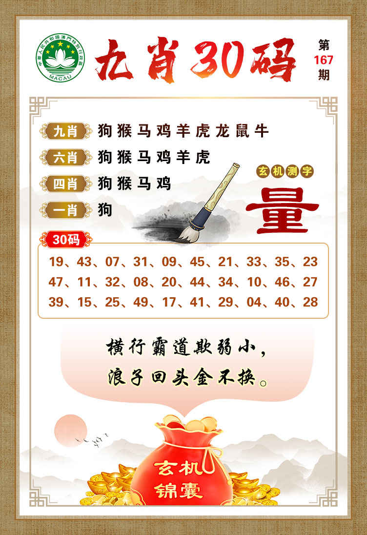 王中王019指一生肖——深度解析與探索，王中王019生肖揭秘，深度解析與探索之旅