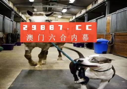 澳門一肖一碼一必中一肖，同舟前進(jìn)的奧秘與策略，澳門一肖一碼必中策略與前進(jìn)奧秘，同舟共濟(jì)的揭秘與策略