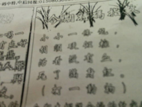 劉伯溫猜一生肖