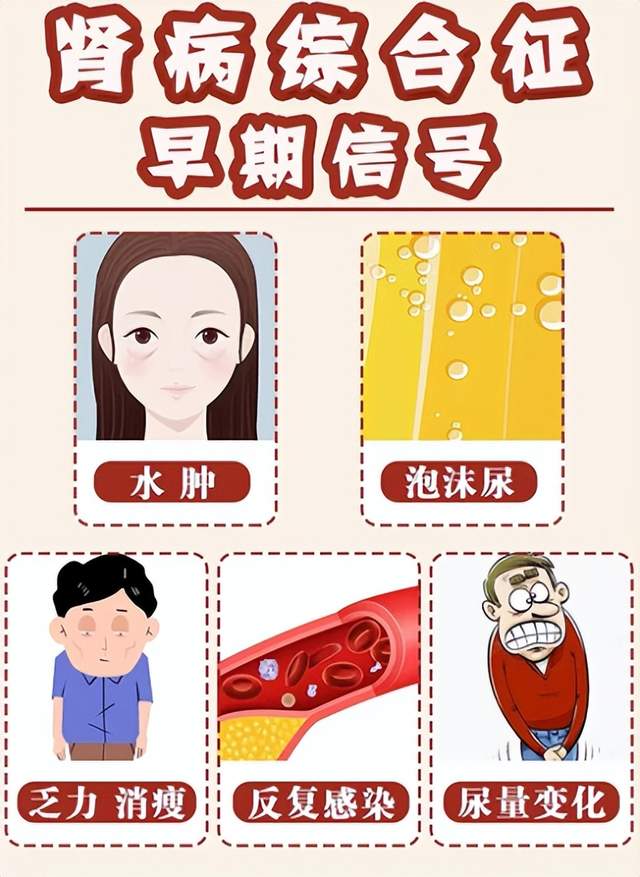 腎病早期癥狀與前兆，了解并預(yù)防腎病風(fēng)險(xiǎn)，腎病早期癥狀與前兆解析，腎病預(yù)防與風(fēng)險(xiǎn)了解