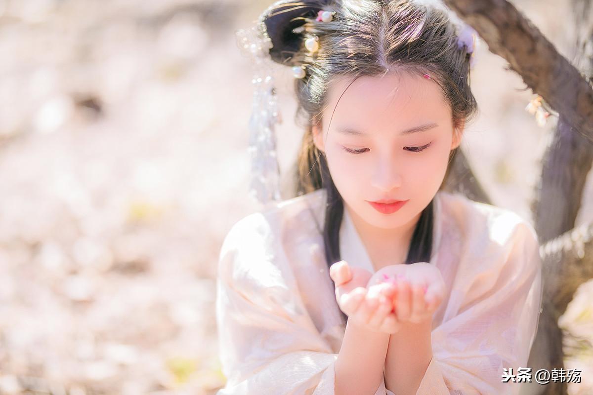 揭秘劉伯溫四不像期期一肖的神秘面紗，劉伯溫四不像期期一肖神秘面紗揭秘