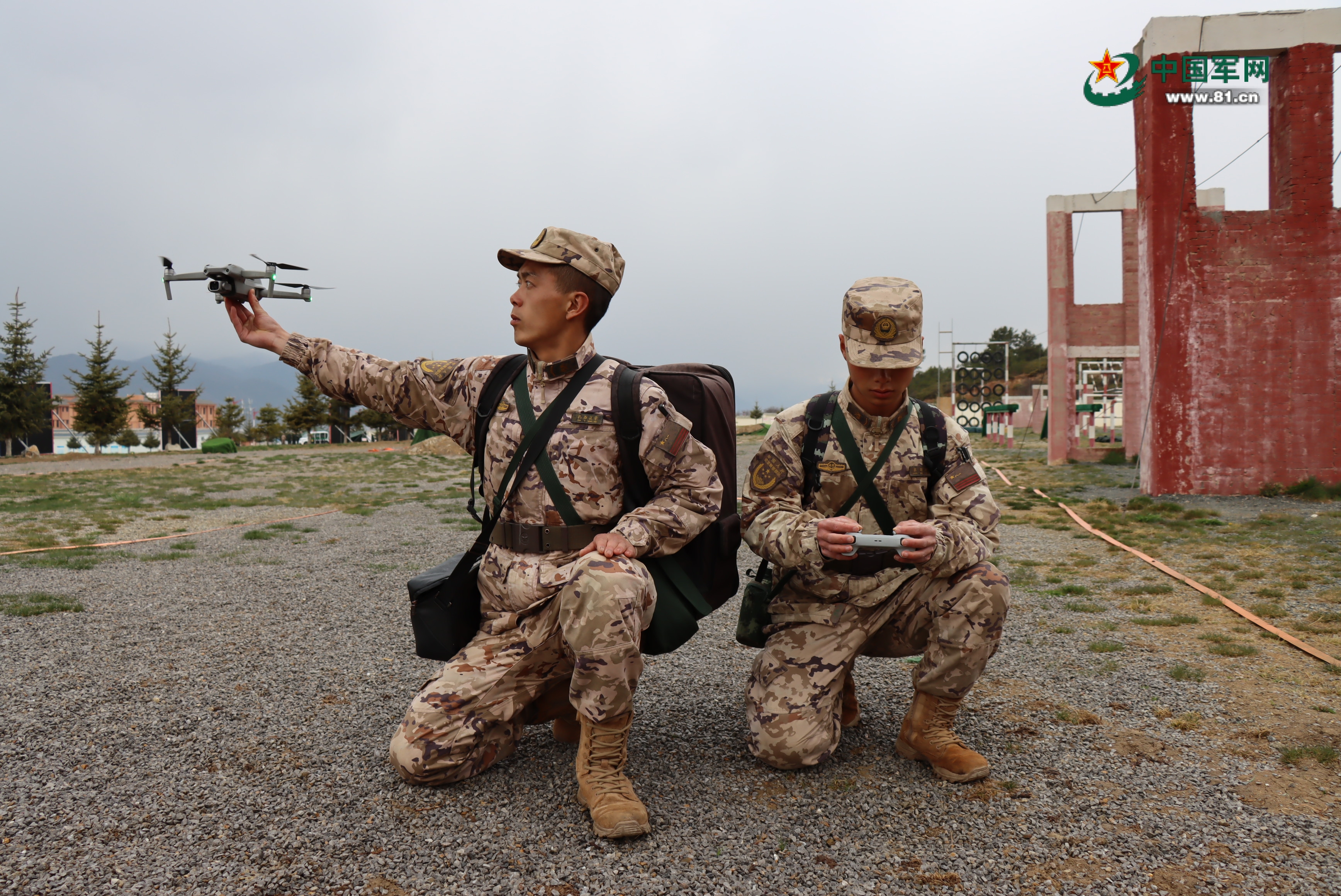 關(guān)于武警機(jī)動(dòng)師改總隊(duì)后的去向解析——探尋新的使命與職責(zé)，武警機(jī)動(dòng)師改總隊(duì)后的使命與職責(zé)解析，探尋新的方向與未來