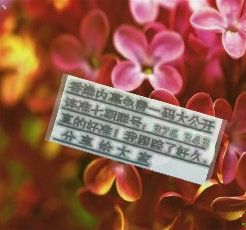 揭秘王中王六肖必中一肖的秘密策略，揭秘王中王六肖必中一肖的獨(dú)家策略
