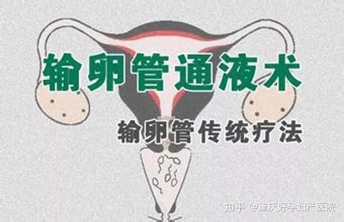 輸卵管堵塞自查方法，了解、預(yù)防與自我檢測，輸卵管堵塞的自我檢查與預(yù)防方法指南