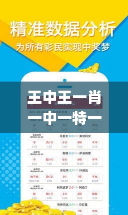 王中王一肖一馬期期中中，深度解讀與SEO策略，王中王一肖一馬期期中深度解讀與SEO策略探討