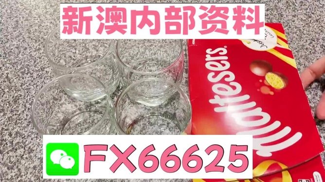 澳門49圖正版資料，探索正版數(shù)據(jù)資料的魅力與價(jià)值，澳門正版資料探索，數(shù)據(jù)資料的魅力與價(jià)值揭秘