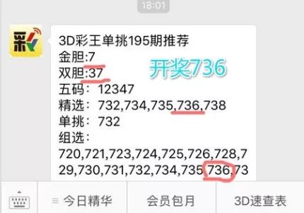 揭秘63期王中王一肖中特背后的秘密，揭秘王中王一肖中特背后的秘密與策略
