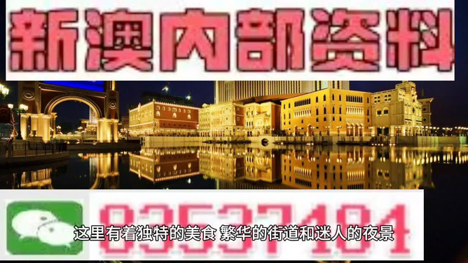 新澳門精準資料大全與管家婆料，探索SEO的奧秘，探索SEO奧秘，新澳門精準資料大全與管家婆料的秘密解析
