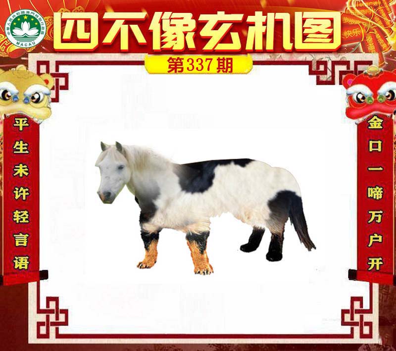 澳門一肖一碼一待一中四不像——揭秘與探索，澳門神秘一肖一碼，揭秘與探索一待一中四不像的秘密