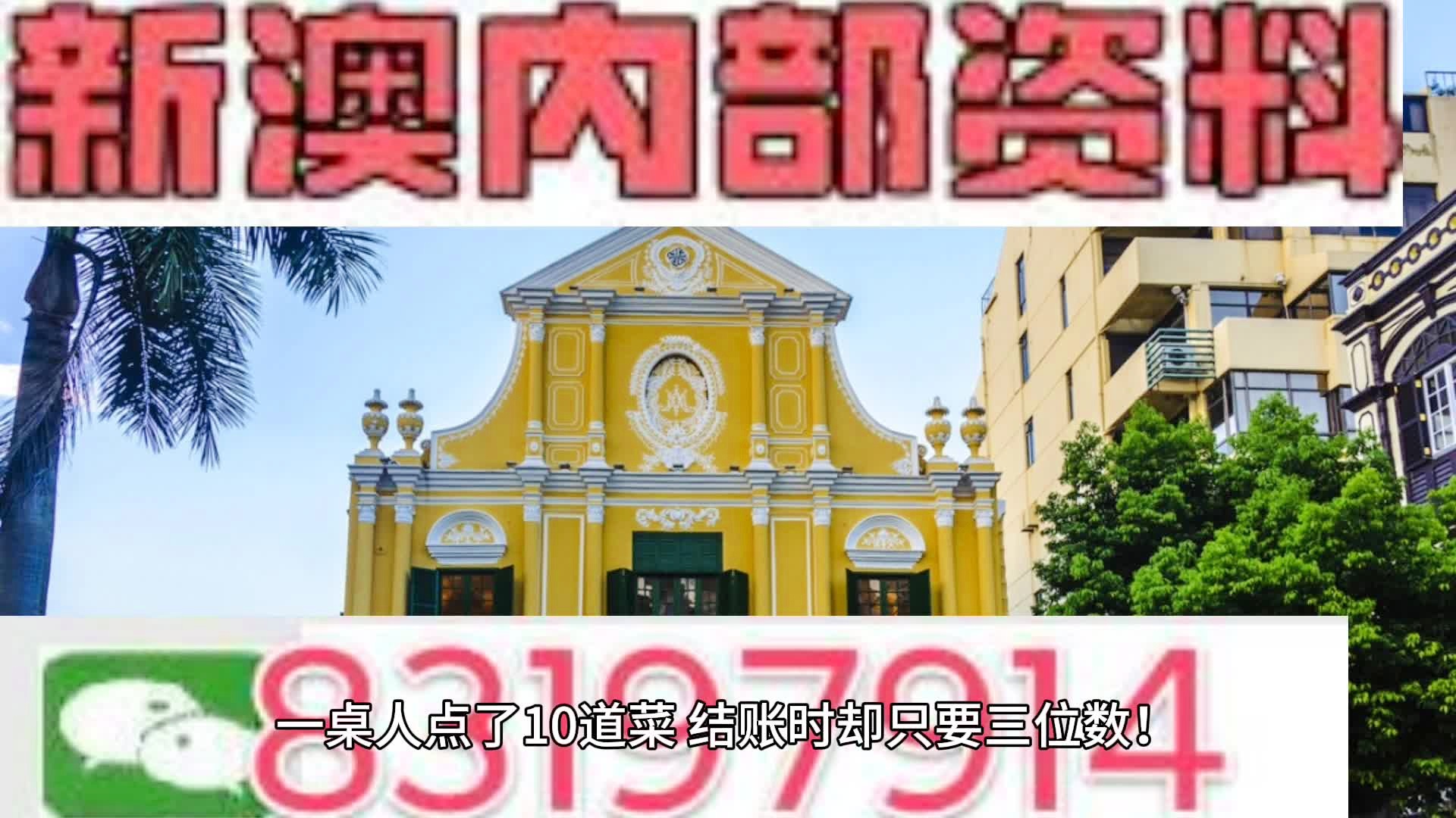 新澳王中王100%的資料詳解，新澳王中王100%資料詳解概覽