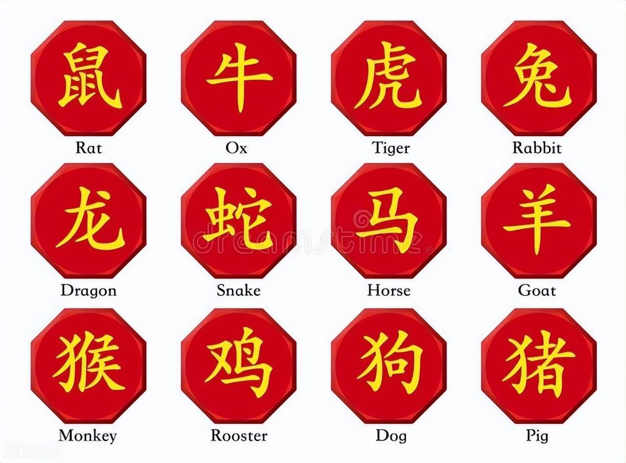 新澳特碼，羊牛虎各數(shù)10——揭秘獨(dú)特編碼體系與生肖魅力，新澳特碼生肖編碼體系揭秘，羊?；⒏鲾?shù)10的魅力