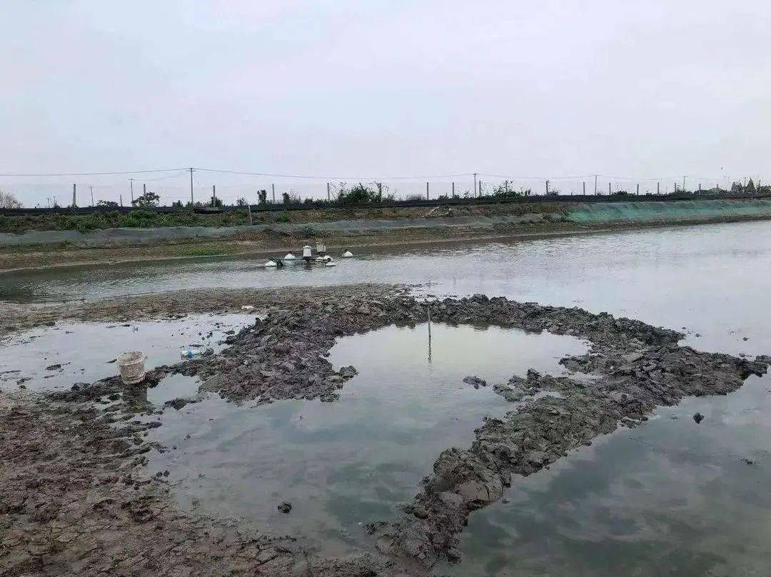 澳門彩票中心，最新資訊與查詢指南關(guān)于新澳門搖號結(jié)果查詢 2025年展望，澳門彩票中心，最新資訊與查詢指南——新澳門搖號結(jié)果展望2025年