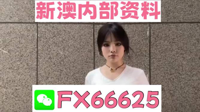 4887正版資料大全——您不可或缺的權(quán)威資源指南，4887正版資料大全，權(quán)威資源指南