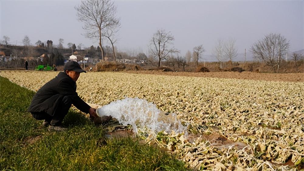 千陽(yáng)縣人力資源和社會(huì)保障局最新新聞，千陽(yáng)縣人力資源和社會(huì)保障局最新動(dòng)態(tài)報(bào)道