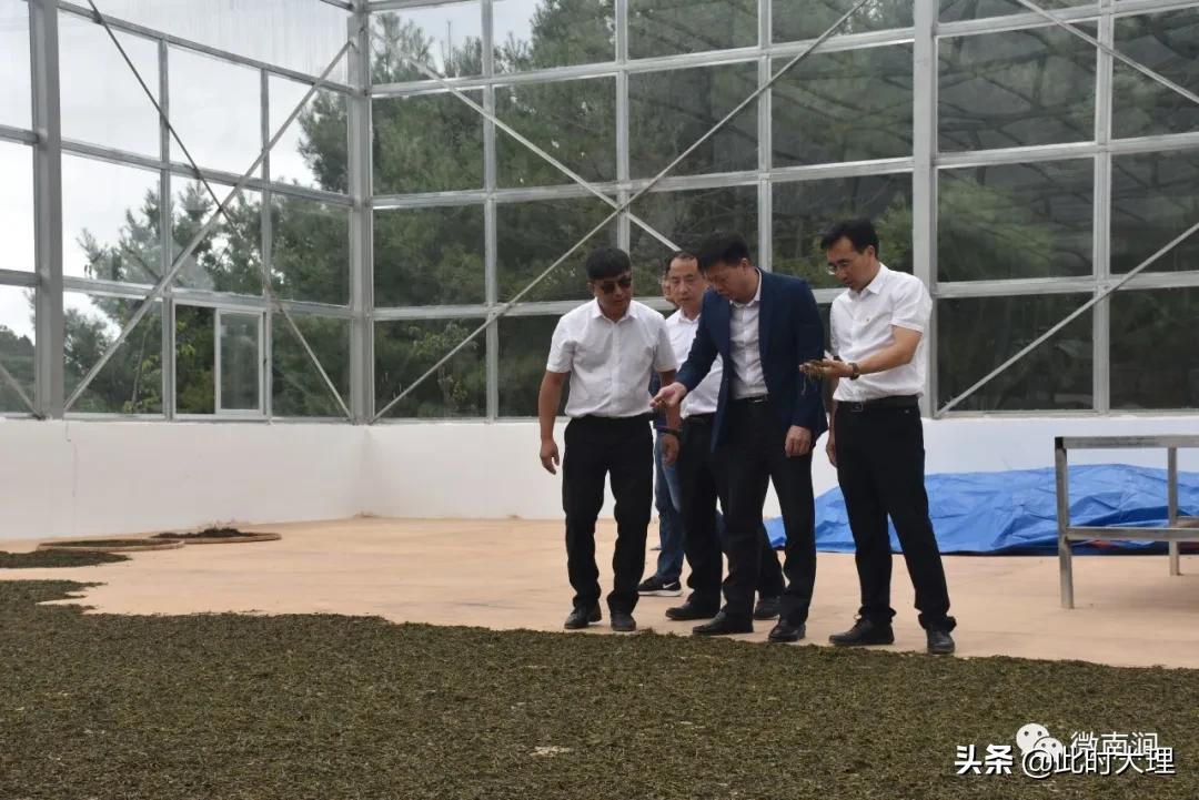 亞巴村最新項目，探索與期待，亞巴村新項目探索與期待之旅